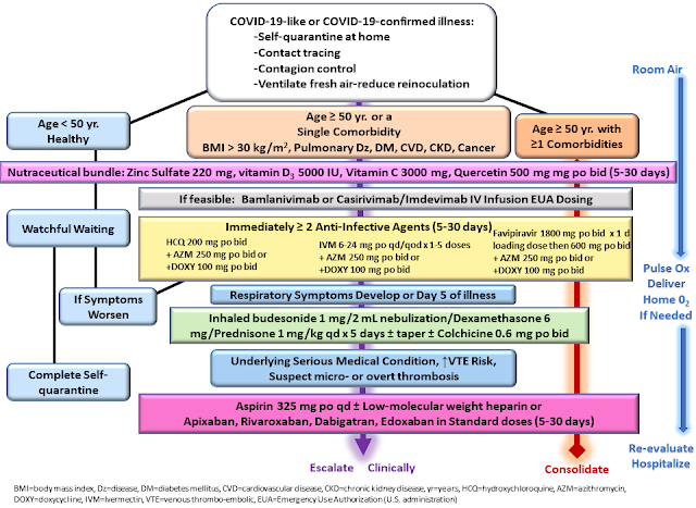 McCullough's Treatment of Covid